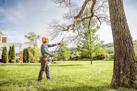Lawn Watering Services in Little Walnut Village, NM